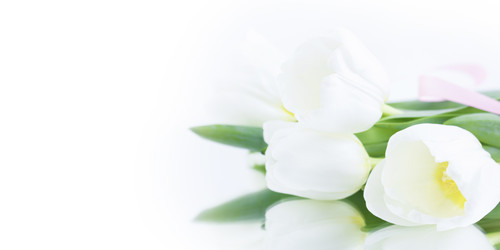 Similar image 21278085