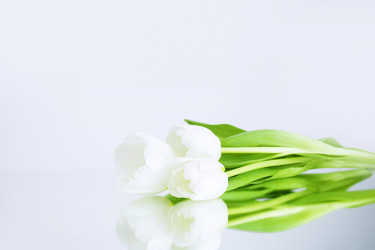 Similar image 21278316