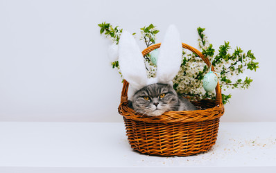 Similar image 21286141