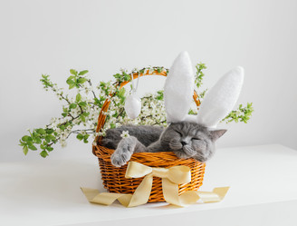 Similar image 21286148