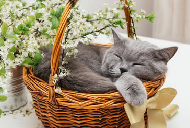 Similar image 21286151