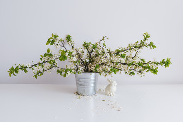 Similar image 21286154