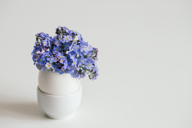 Similar image 21286169