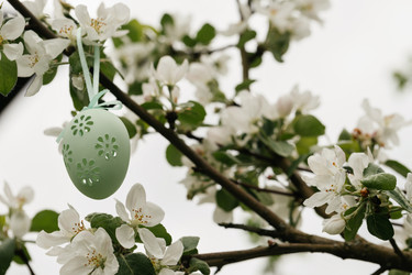 Similar image 21286176