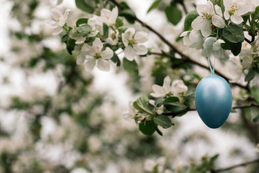 Similar image 21286177