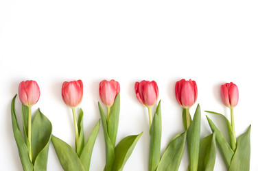 Similar image 21286181