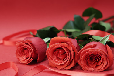 Similar image 21277334