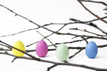 Similar image 21285532