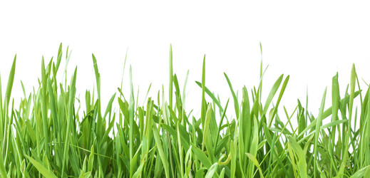 Similar image 21278089