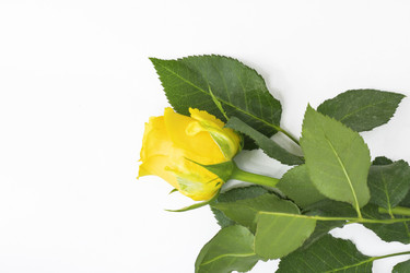 Similar image 21278090