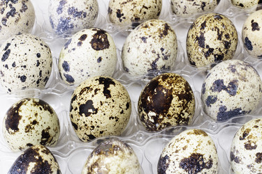 Similar image 21278091