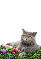 Similar image 21286195