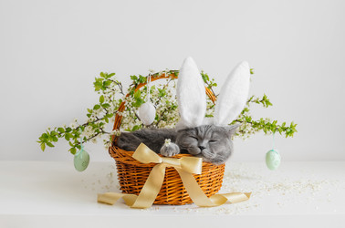 Similar image 21286198