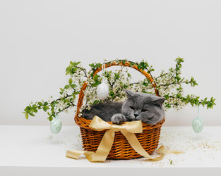 Similar image 21286213