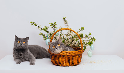 Similar image 21286220