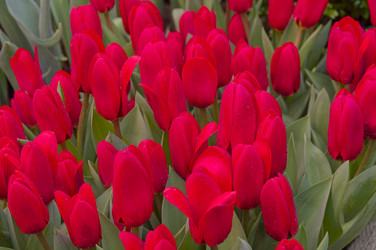 Similar image 21277125