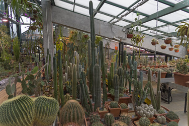 Similar image 21277126