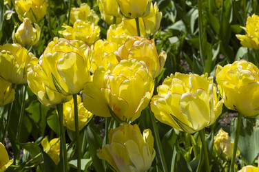 Similar image 21277127