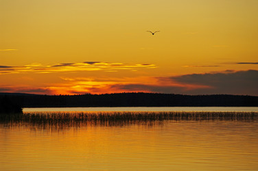 Similar image 21277132