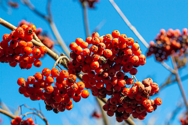 Similar image 21277281