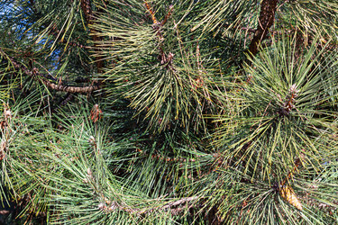 Similar image 21277282