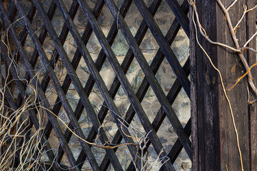 Similar image 21277287