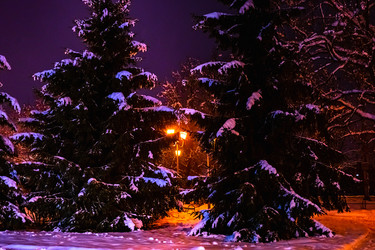 Similar image 21276672