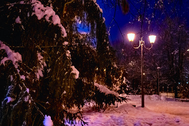 Similar image 21276675