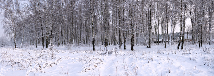 Similar image 21276676