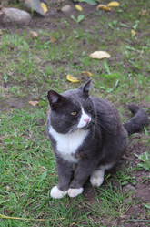 Similar image 21277160