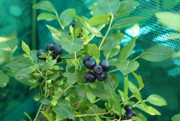 Similar image 21277163