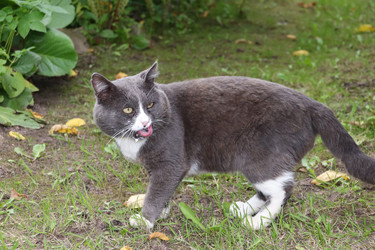 Similar image 21277166