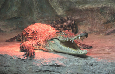 Similar image 21285799