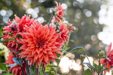 Similar image 21282238