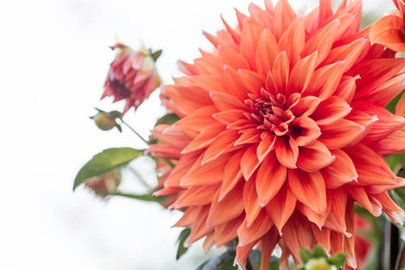 Similar image 21282239