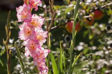 Similar image 21282240