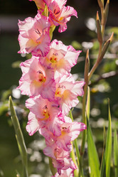 Similar image 21282241