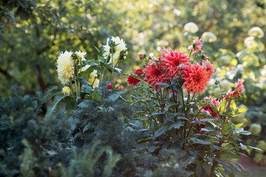 Similar image 21282243