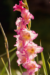 Similar image 21282244