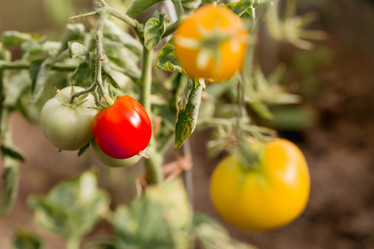 Similar image 21282374