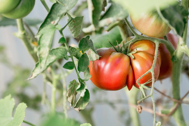 Similar image 21282376