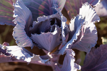 Similar image 21282377