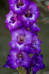 Similar image 21282245