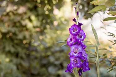 Similar image 21282246