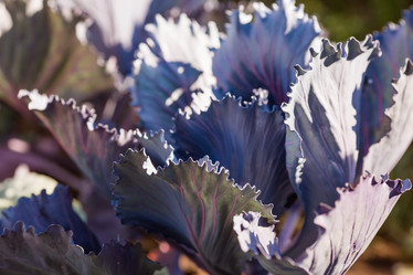 Similar image 21282378