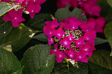 Similar image 21282249