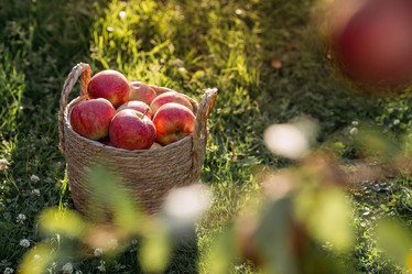 Similar image 21282381