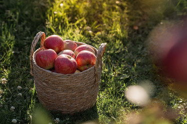 Similar image 21282382