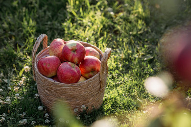 Similar image 21282383