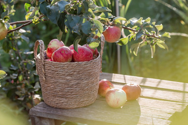 Similar image 21282384